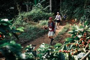 BIB: 
                            <button type="button" onclick="openModal(25856660)" class="btn btn-primary btn-sm float-right btn-popup" data-toggle="modal" data-target=".modal-high-quality">
                        <i class="fas fa-shopping-cart"></i> Add to Cart
                    </button>
                                            <button type="button" onclick="isThisMe(25856660, true)" class="btn btn-success btn-sm float-right btn-popup btn-isme hidden" data-toggle="tooltip" data-placement="bottom" title="นี่คือรูปของคุณใช่ไหม คลิกที่นี่เพื่อเอาเข้าอัลบั้ม">
                        <i class="fas fa-plus"></i> Add to album
                    </button>
                    <button type="button" onclick="isThisMe(25856660, false)" class="btn btn-warning btn-sm float-right btn-popup btn-isnotme hidden">
                        <i class="fas fa-ban"></i> Remove from album
                    </button>